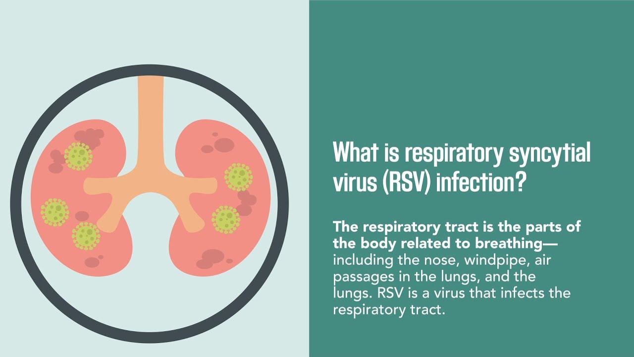 Respiratory virus