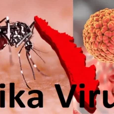 Understanding Zika Virus: A Guide for Parents